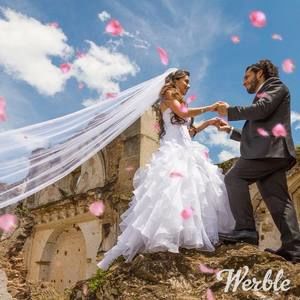 Meet your Posher, Lucy